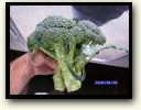 Siri and Son Farms
